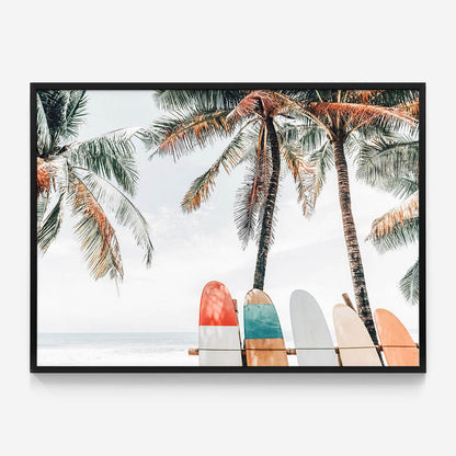 Tropical Boards