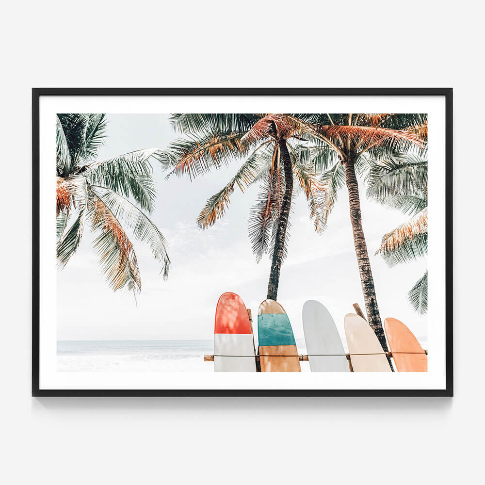 Tropical Boards