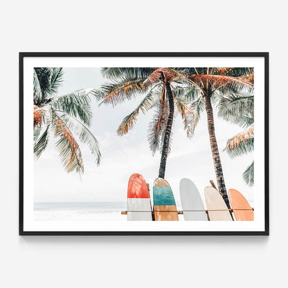 Tropical Boards