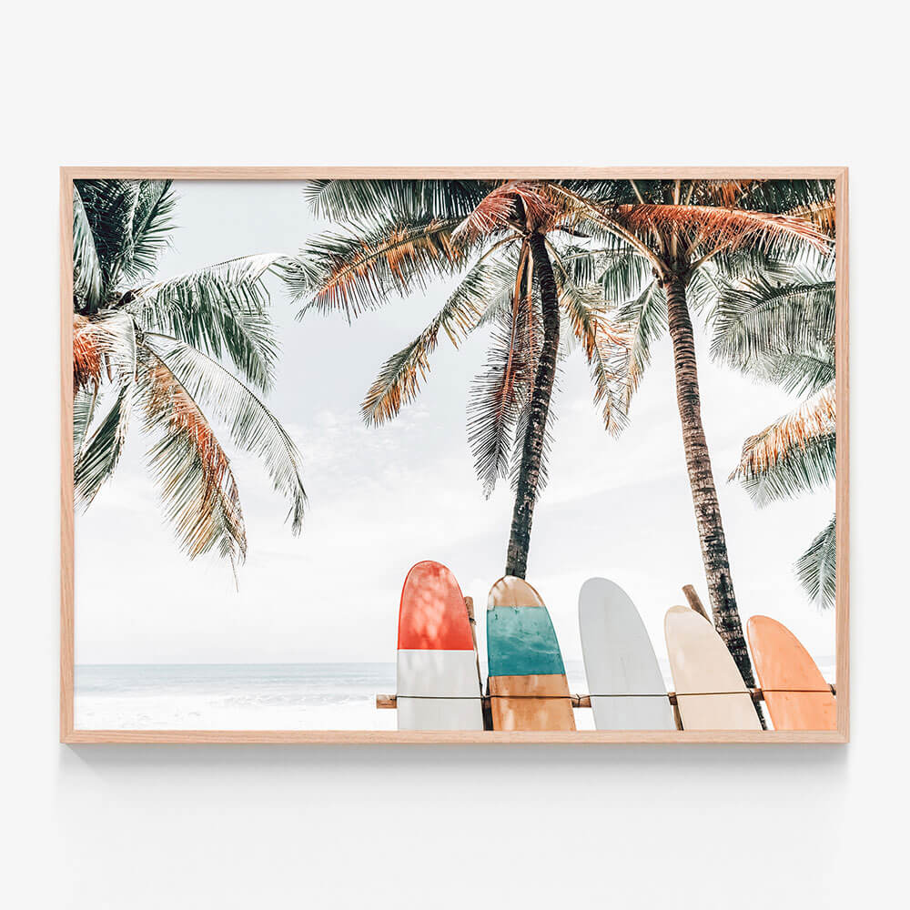 Tropical Boards
