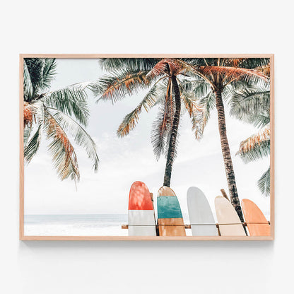 Tropical Boards