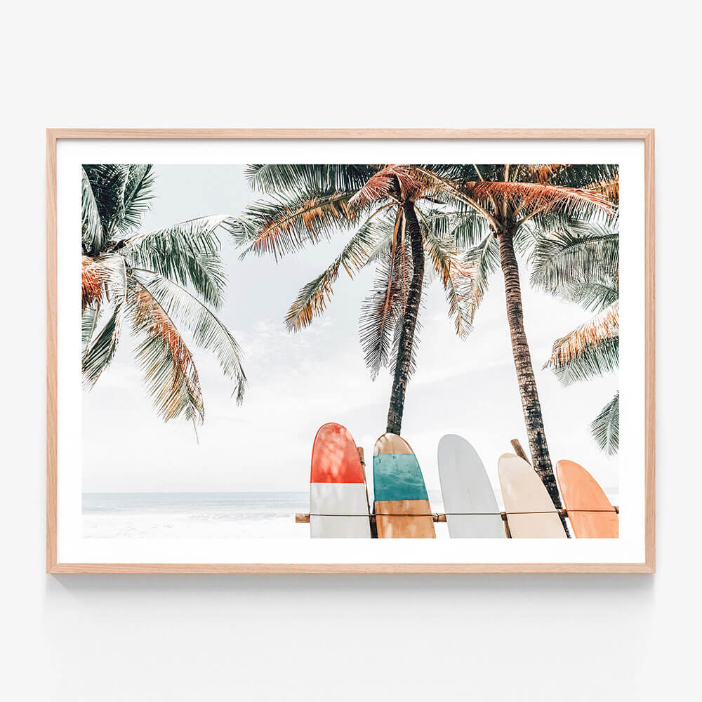 Tropical Boards