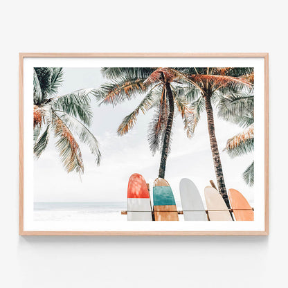 Tropical Boards