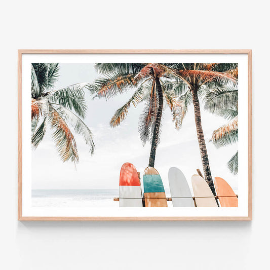 Tropical Boards