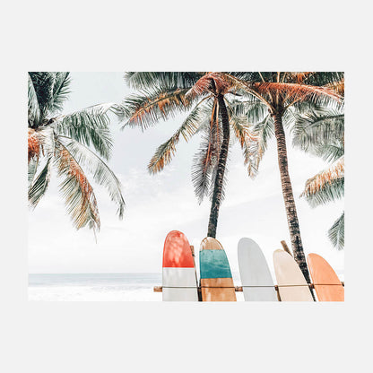 Tropical Boards