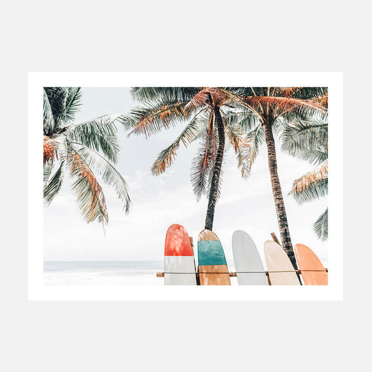 Tropical Boards