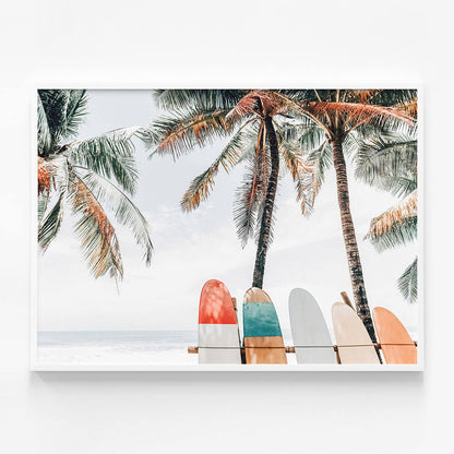 Tropical Boards