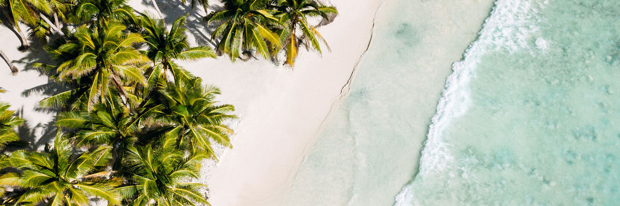Top-down view of a tropical beach photograph with palm trees and clear blue water.