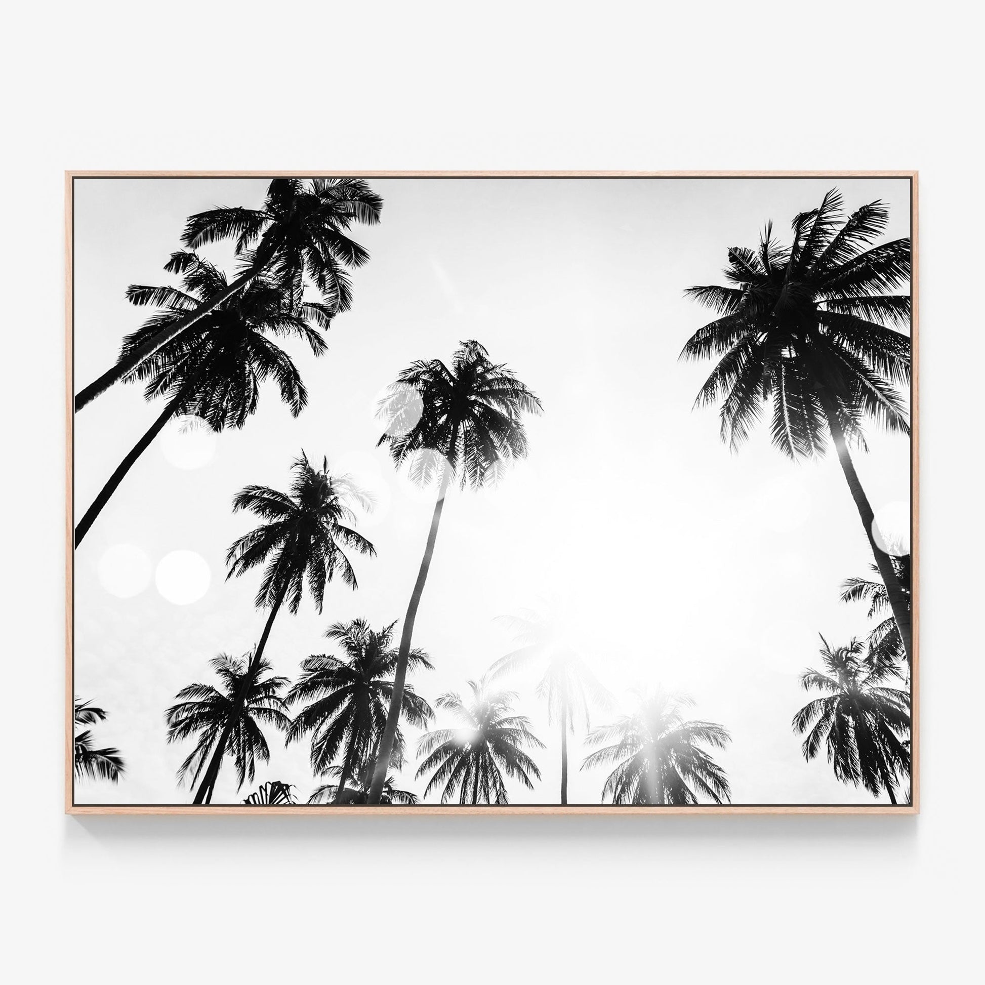 Tropical Flare Canvas print in oak frame