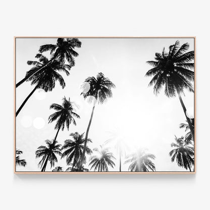 Tropical Flare Canvas print in oak frame