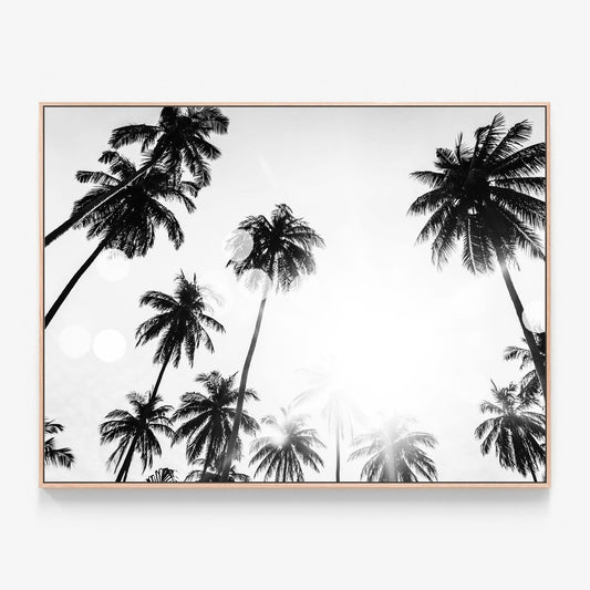 Tropical Flare Canvas print in oak frame