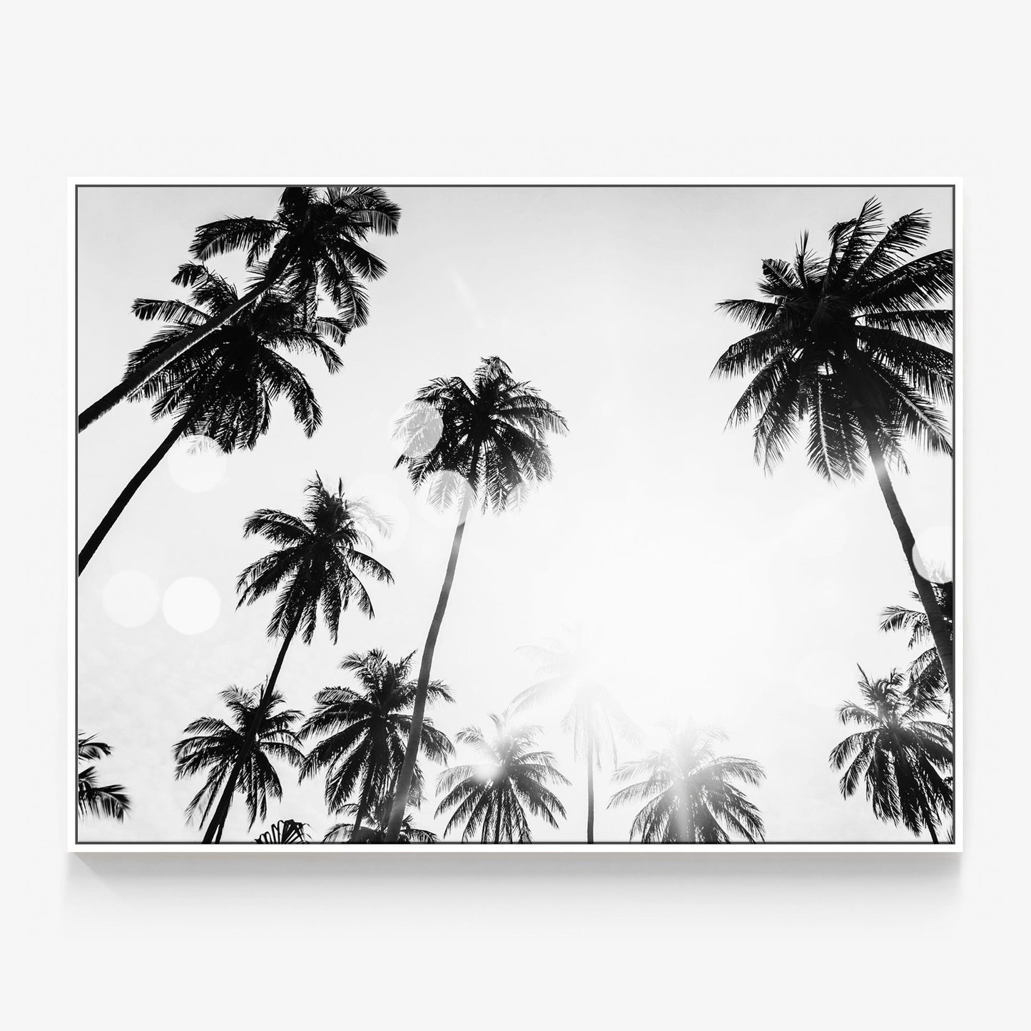 Tropical Flare Canvas
