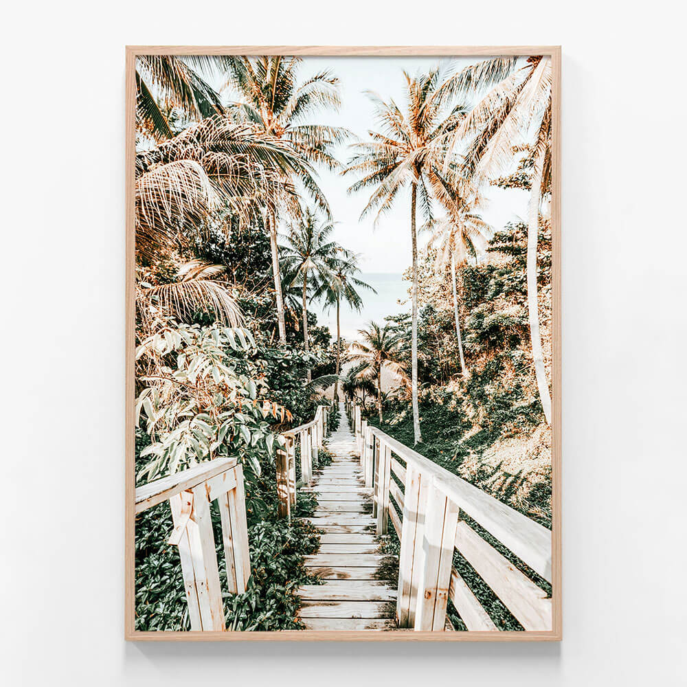 Tropical Path