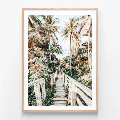 Tropical Path