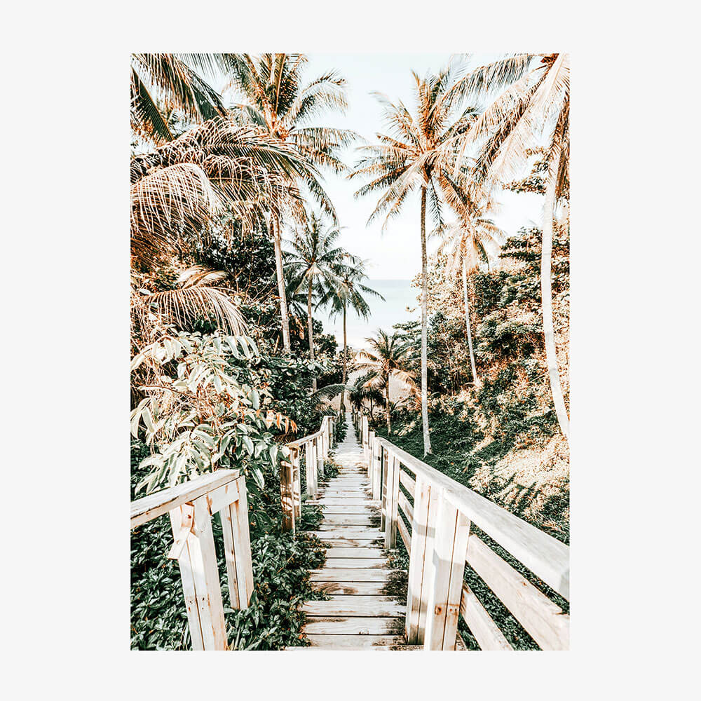 Tropical Path