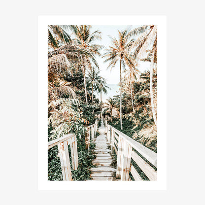 Tropical Path