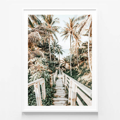 Tropical Path