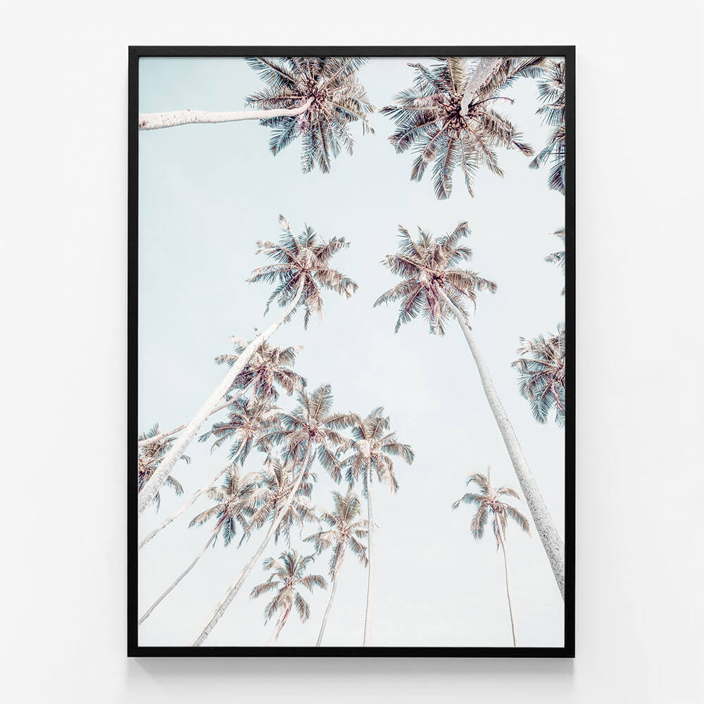 Tropical Sky