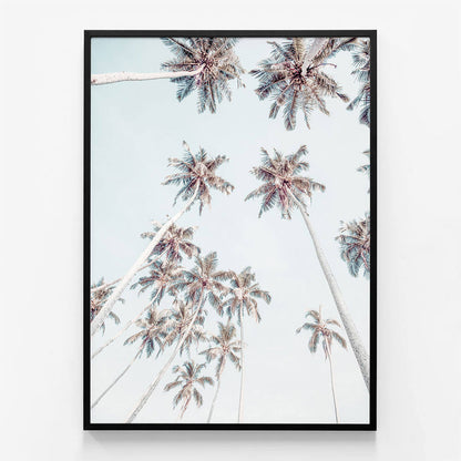 Tropical Sky