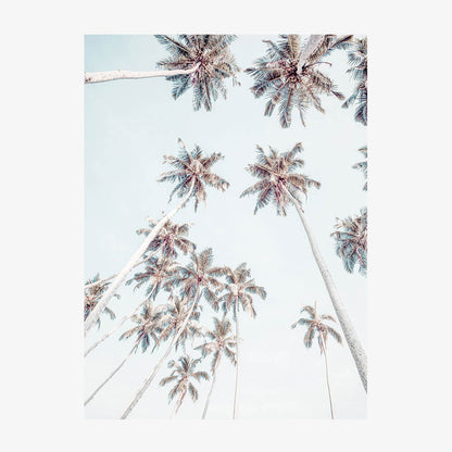 Tropical Sky