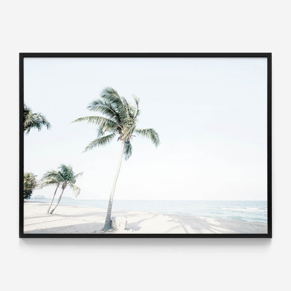 Tropical View