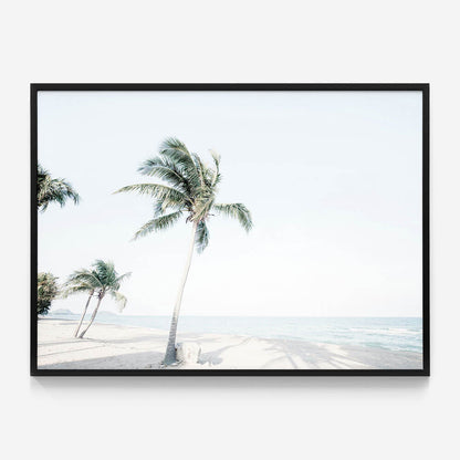 Tropical View