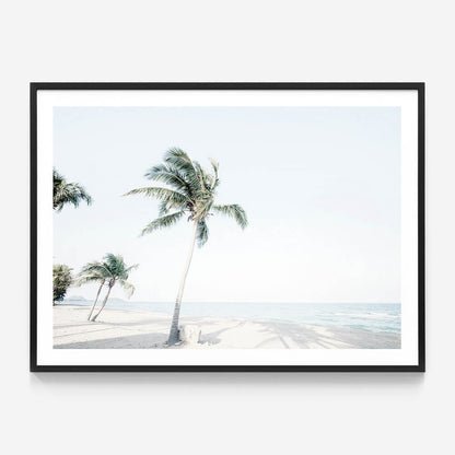 Tropical View