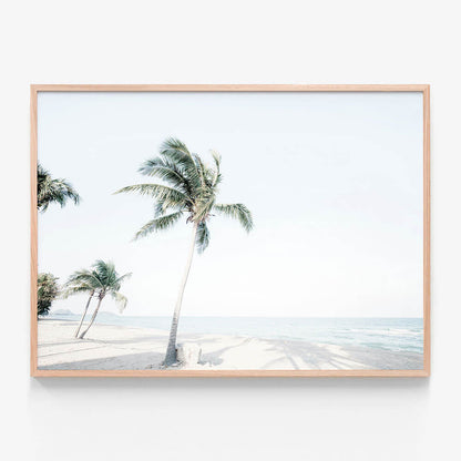 Tropical View