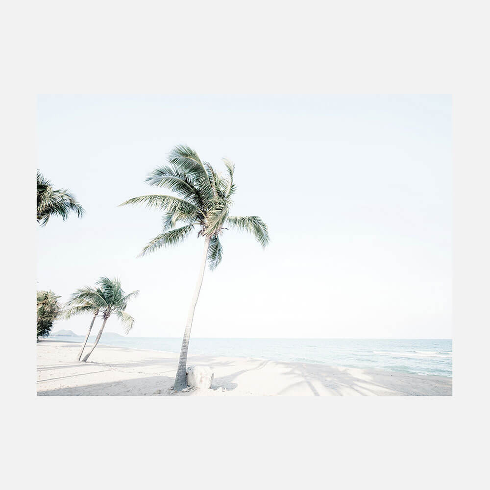 Tropical View