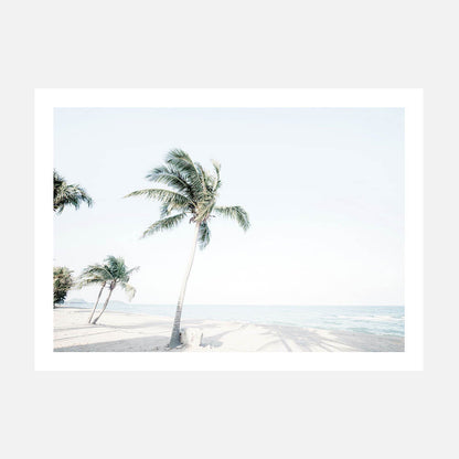 Tropical View
