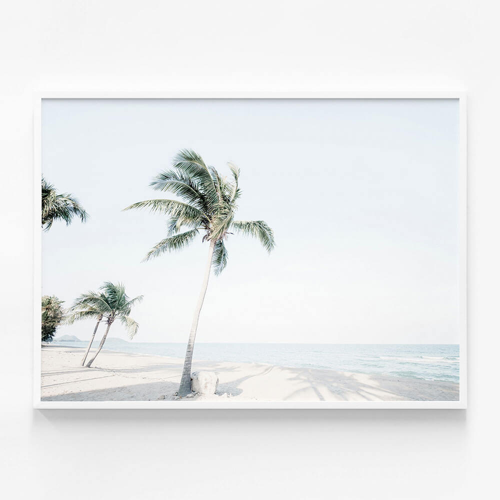 Tropical View