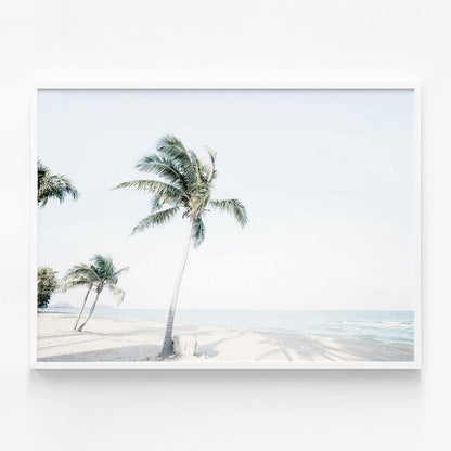 Tropical View