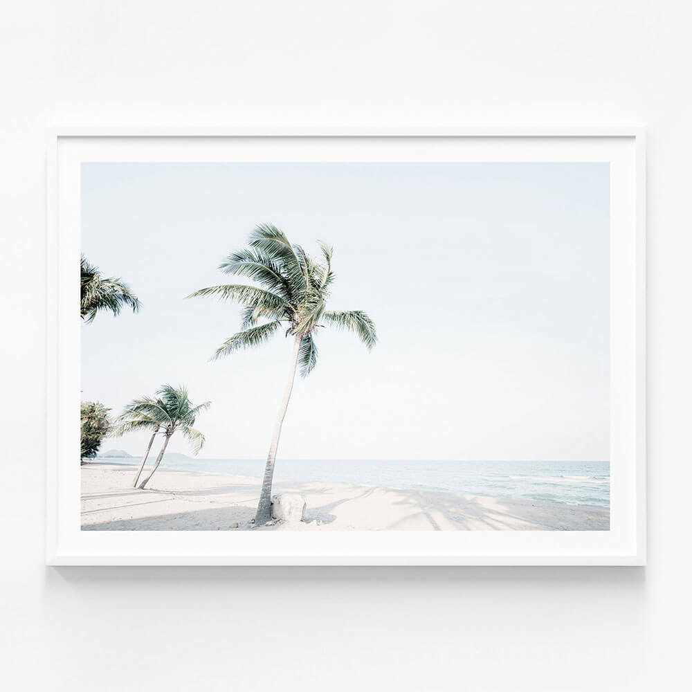 Tropical View