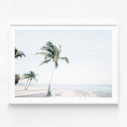 Tropical View