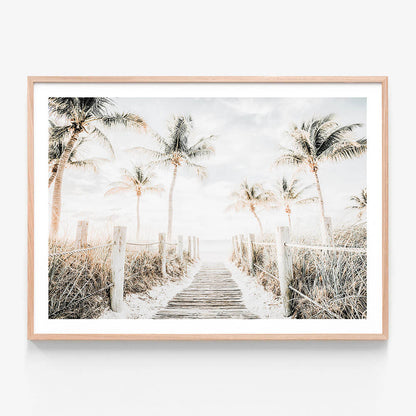 Tropical Walkway