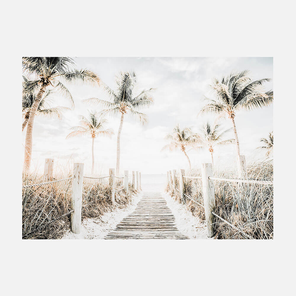 Tropical Walkway