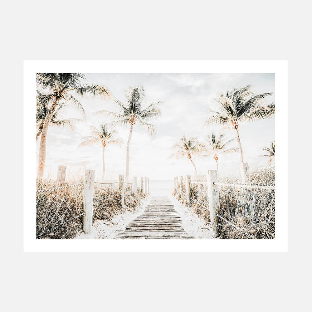 Tropical Walkway