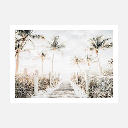 Tropical Walkway