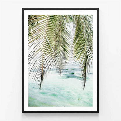 Turquoise Palm