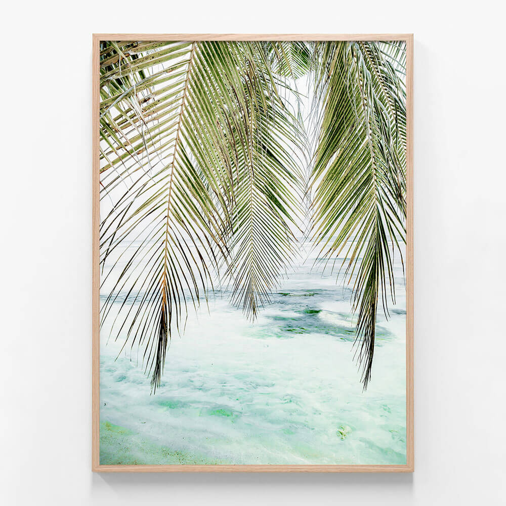 Turquoise Palm
