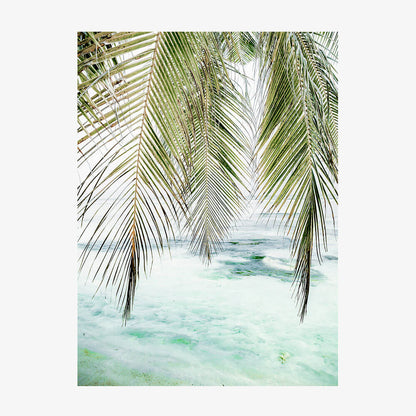 Turquoise Palm