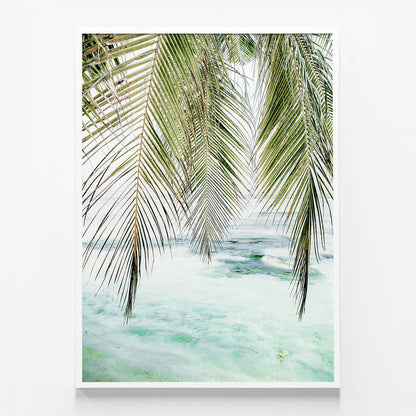 Turquoise Palm