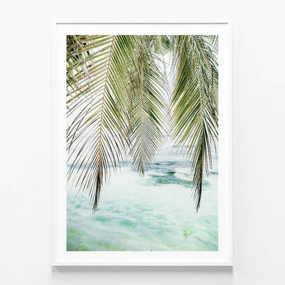 Turquoise Palm