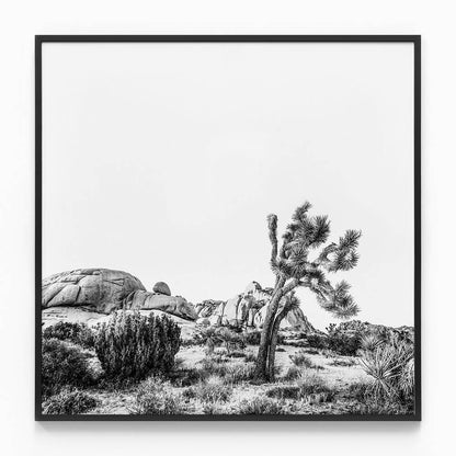 Twentynine Palms