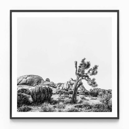 Twentynine Palms