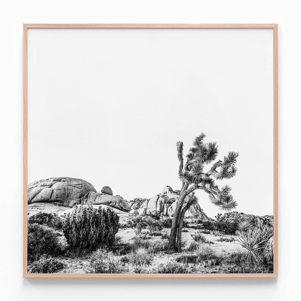 Twentynine Palms