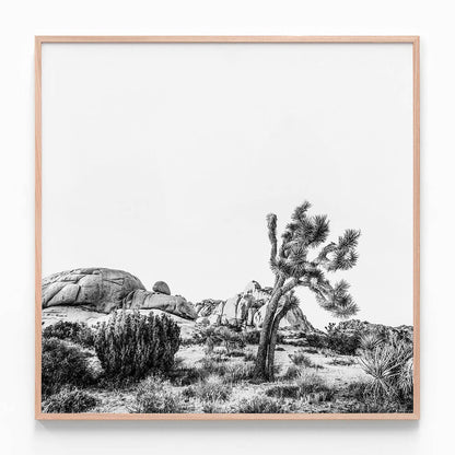 Twentynine Palms
