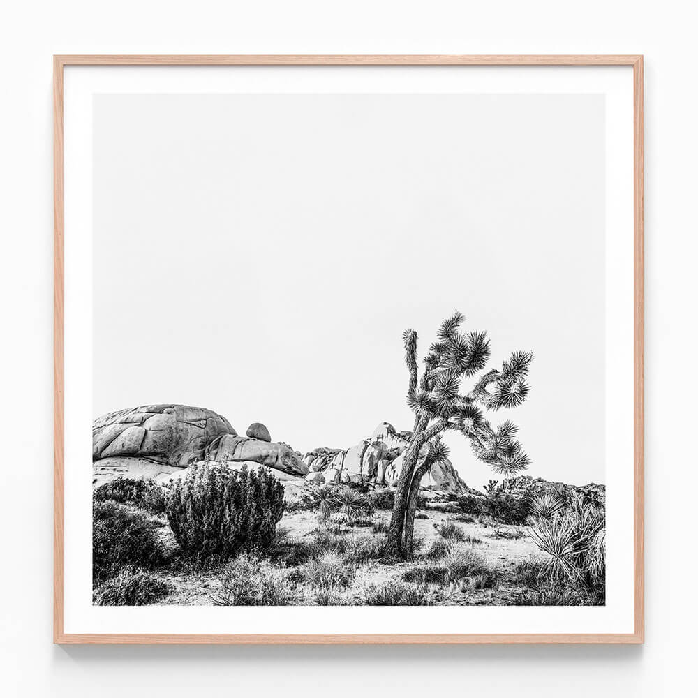 Twentynine Palms