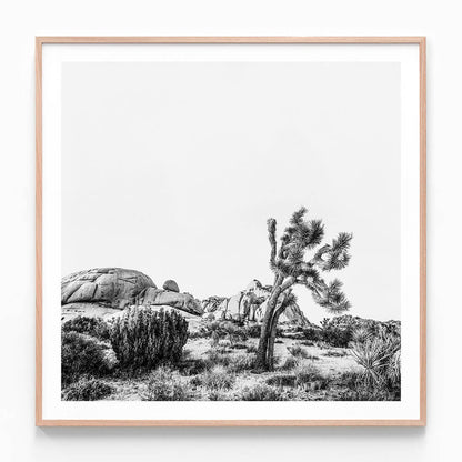 Twentynine Palms