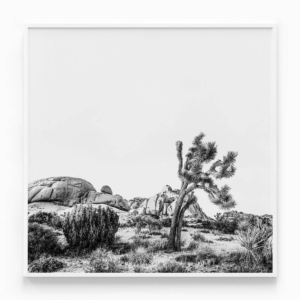 Twentynine Palms